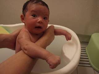 すっかり慣れっこです
